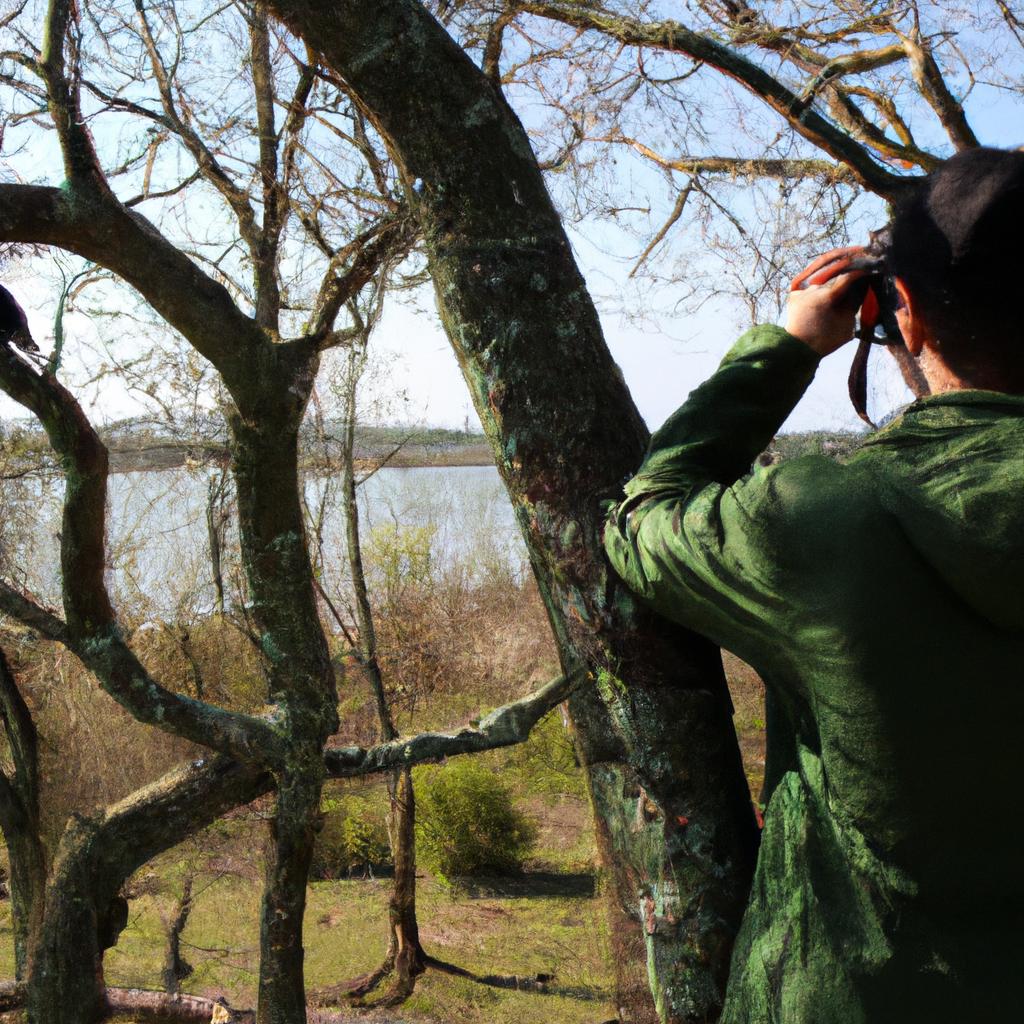 Person observing birds in nature