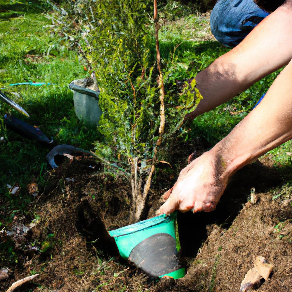 Person planting trees in garden